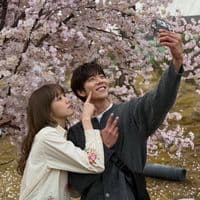 TikTok Account - marquiserigtengden