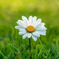 TikTok Account - po.co96