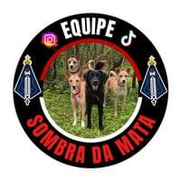 TikTok Account - equipesombradamata