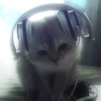 TikTok Account - aquitti