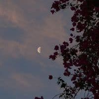 TikTok Account - iw2a