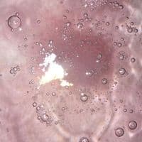 TikTok Account - wmjgpt1