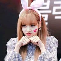 TikTok Account - lisa._.edit1