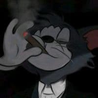 TikTok Account - toq.r