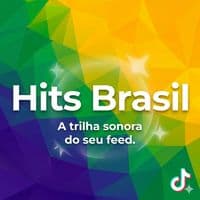 TikTok Account - hitbrasiloficial