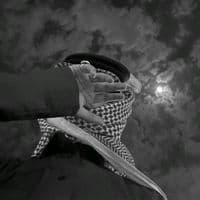 TikTok Account - ..lb52