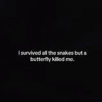 TikTok Account - quotesbywaz