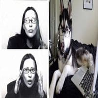 TikTok Account - samueisde