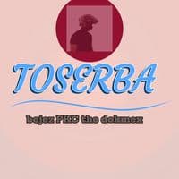 TikTok Account - al_qarni24