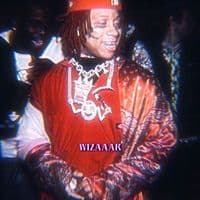 TikTok Account - wizaaar