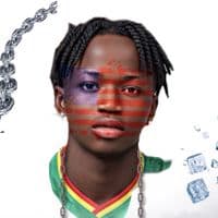 TikTok Account - biebier_wilkey