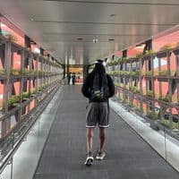 TikTok Account - simbudollar7