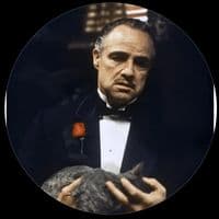 TikTok Account - manuelmyrteli4