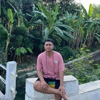 TikTok Account - krisdedysalibana