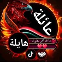TikTok Sound - son original - 💯 عايلة 🎤 هايلة 🎧🪘