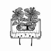 TikTok Account - musi_cana