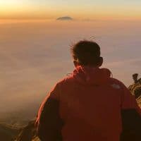 TikTok Account - apiip_apiiip