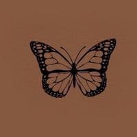 TikTok Account - asil.alshrari