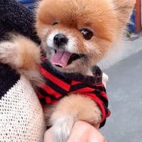 TikTok Account - xzy668881