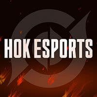 TikTok Account - hokglobalesports