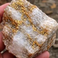 TikTok Account - afsungar705