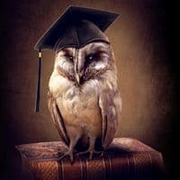 TikTok Account - wise_k1ng