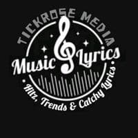 TikTok Account - tkmedia.ng