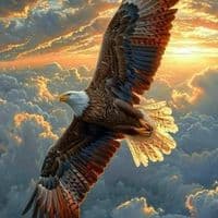 TikTok Account - elnsr1989