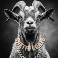 TikTok Account - zimsocialtrends