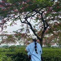 TikTok Account - subeetaselinglimbu