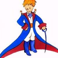 TikTok Account - _small_prince