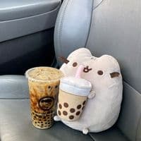 TikTok Account - danika156890