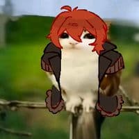 TikTok Account - chop1chop2chop3