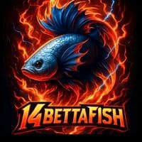 TikTok Account - 14bettafish01
