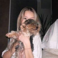 TikTok Account - pav.p3