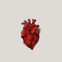 TikTok Account - adenplyrics