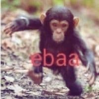 TikTok Account - bogcuk1