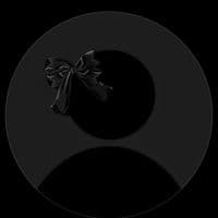 TikTok Account - mirab351