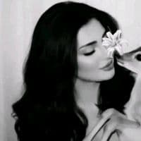 TikTok Account - so.338