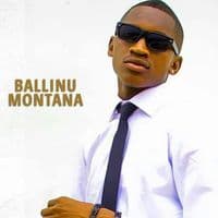 ballinumontana_