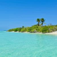 TikTok Account - islandphotographer