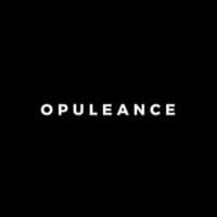 TikTok Account - opuleance