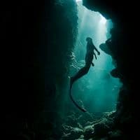 TikTok Account - khoi_x