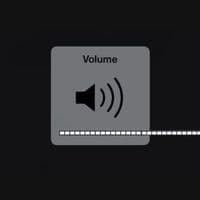 TikTok Account - miladydemaria