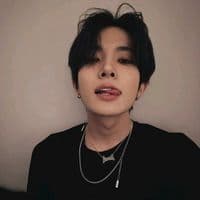 TikTok Account - tulipzxz