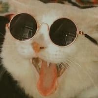 TikTok Account - cicichania96