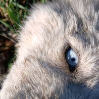 TikTok Account - maria.soledad484