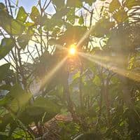 TikTok Account - nalinya60