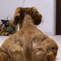 TikTok Account - sara_gymnasio