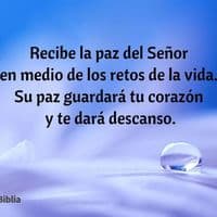 TikTok Account - promesas.42